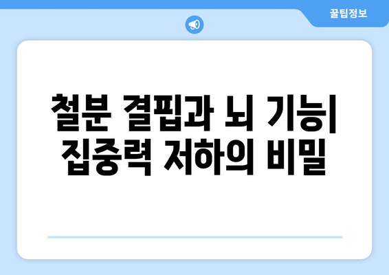 철분 결핍이 농도와 집중력에 미치는 영향