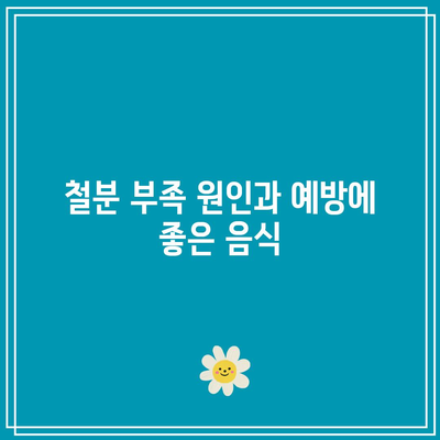 철분 부족 원인과 예방에 좋은 음식