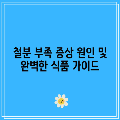 철분 부족 증상 원인 및 완벽한 식품 가이드