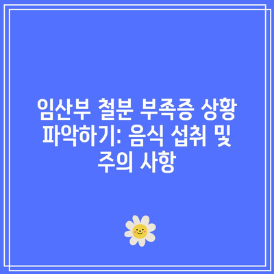 임산부 철분 부족증 상황 파악하기: 음식 섭취 및 주의 사항