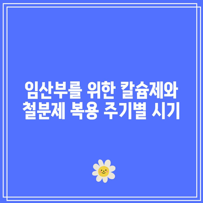 임산부를 위한 칼슘제와 철분제 복용 주기별 시기