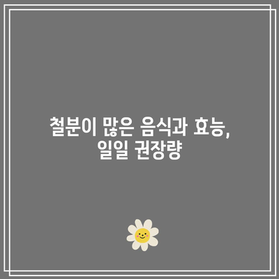 철분이 많은 음식과 효능, 일일 권장량