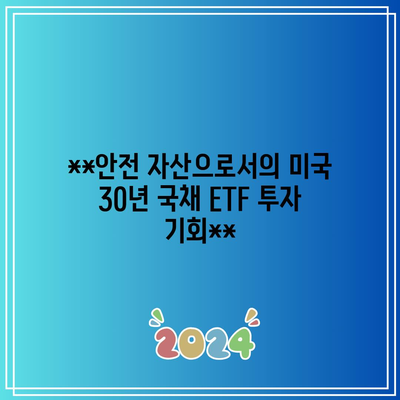 **안전 자산으로서의 미국 30년 국채 ETF 투자 기회**