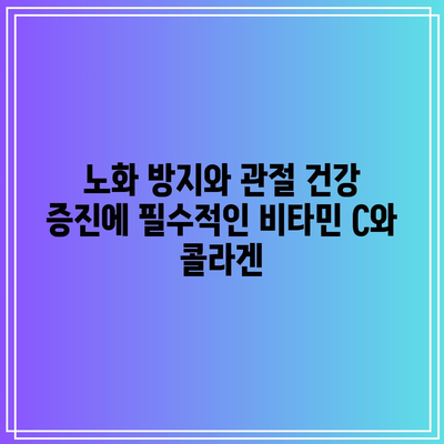 노화 방지와 관절 건강 증진에 필수적인 비타민 C와 콜라겐