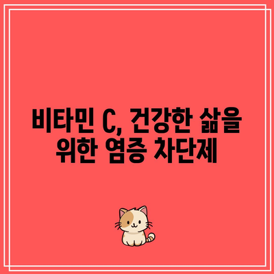 비타민 C, 건강한 삶을 위한 염증 차단제