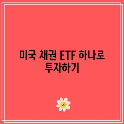 미국 채권 ETF 하나로 투자하기