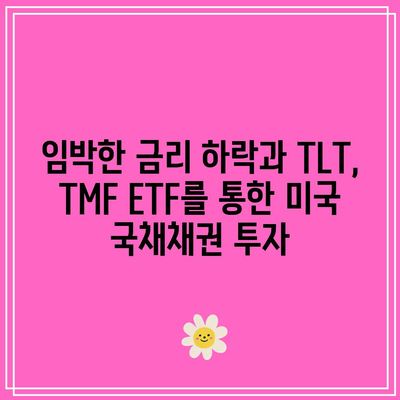 임박한 금리 하락과 TLT, TMF ETF를 통한 미국 국채채권 투자