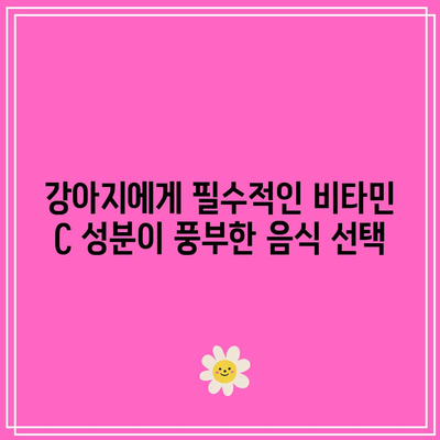 강아지에게 필수적인 비타민 C 성분이 풍부한 음식 선택