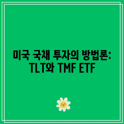 미국 국채 투자의 방법론: TLT와 TMF ETF