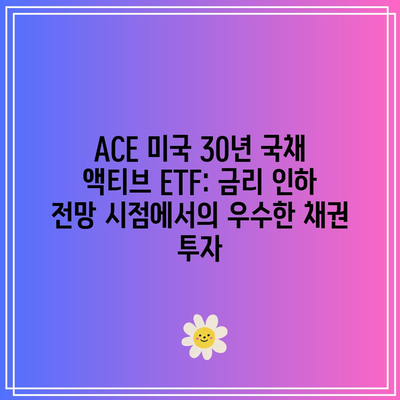 ACE 미국 30년 국채 액티브 ETF: 금리 인하 전망 시점에서의 우수한 채권 투자