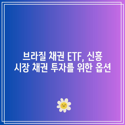 브라질 채권 ETF, 신흥 시장 채권 투자를 위한 옵션