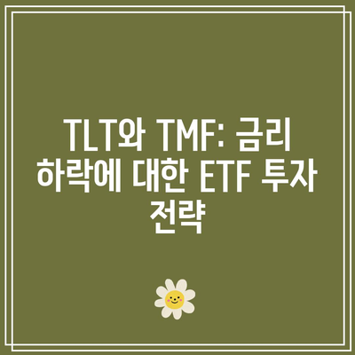 TLT와 TMF: 금리 하락에 대한 ETF 투자 전략