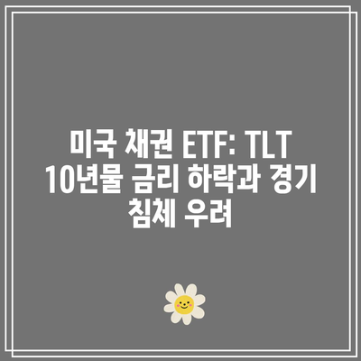 미국 채권 ETF: TLT 10년물 금리 하락과 경기 침체 우려