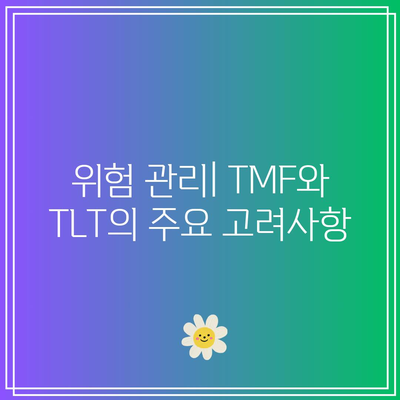 TMF와 TLT의 레버리지 영향 비교를 통한 미국 채권 투자 최적화