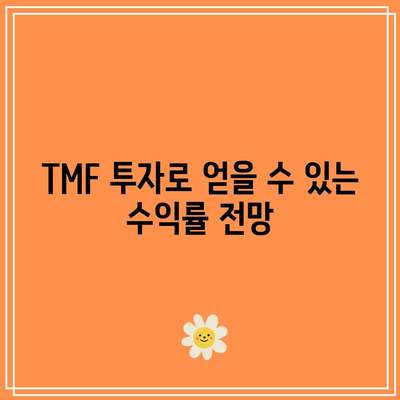 TMF로 미국 장기 채권 ETF 투자의 잠재력 탐구