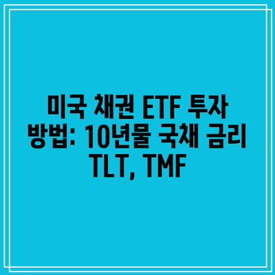 미국 채권 ETF 투자 방법: 10년물 국채 금리 TLT, TMF