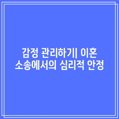 개인회생 중 이혼 소송의 승소 확률을 높이는 전략 | 개인회생, 이혼 소송, 법률 팁