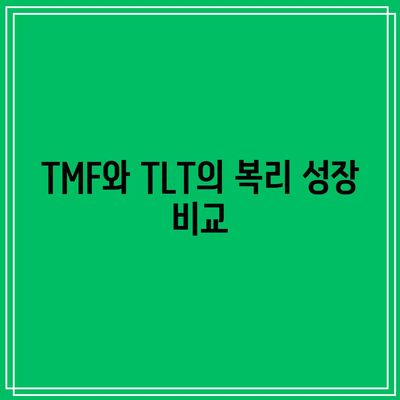 TMF와 TLT의 레버리지 영향 비교를 통한 미국 채권 투자 최적화