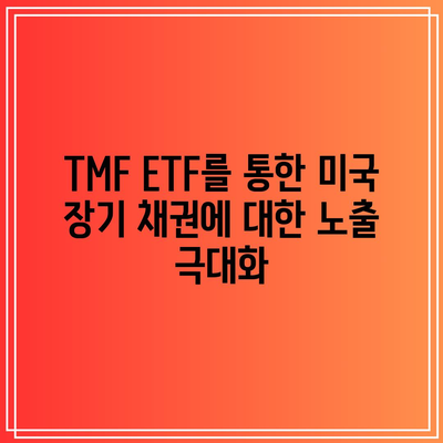 TMF ETF를 통한 미국 장기 채권에 대한 노출 극대화