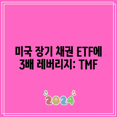 미국 장기 채권 ETF에 3배 레버리지: TMF