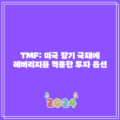 TMF: 미국 장기 국채에 레버리지를 적용한 투자 옵션