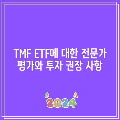 TMF ETF에 대한 전문가 평가와 투자 권장 사항