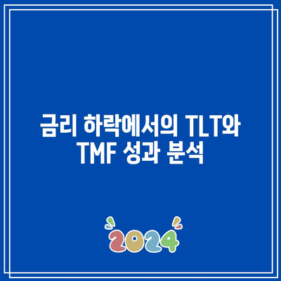 금리와 채권 ETF의 관계 이해하기: TLT, TMF