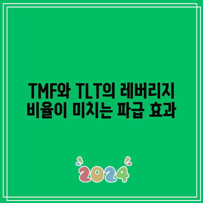 TMF와 TLT의 레버리지 비율이 미치는 파급 효과