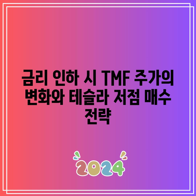 금리 인하 시 TMF 주가의 변화와 테슬라 저점 매수 전략