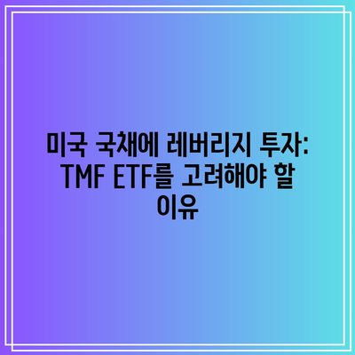 미국 국채에 레버리지 투자: TMF ETF를 고려해야 할 이유