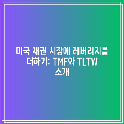 미국 채권 시장에 레버리지를 더하기: TMF와 TLTW 소개