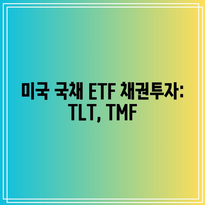 미국 국채 ETF 채권투자: TLT, TMF