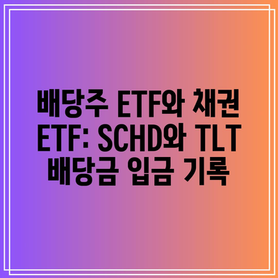 배당주 ETF와 채권 ETF: SCHD와 TLT 배당금 입금 기록