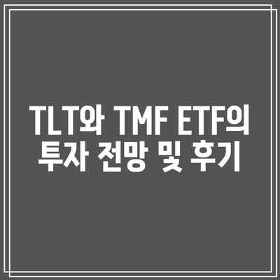 TLT와 TMF ETF의 투자 전망 및 후기