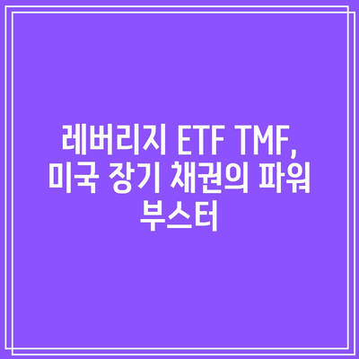 레버리지 ETF TMF, 미국 장기 채권의 파워 부스터