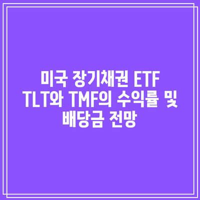 미국 장기채권 ETF TLT와 TMF의 수익률 및 배당금 전망