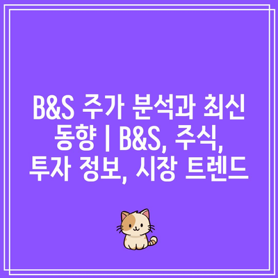 B&S 주가 분석과 최신 동향 | B&S, 주식, 투자 정보, 시장 트렌드