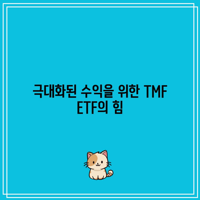 극대화된 수익을 위한 TMF ETF의 힘