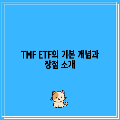 TMF로 미국 장기 채권 ETF 투자의 잠재력 탐구