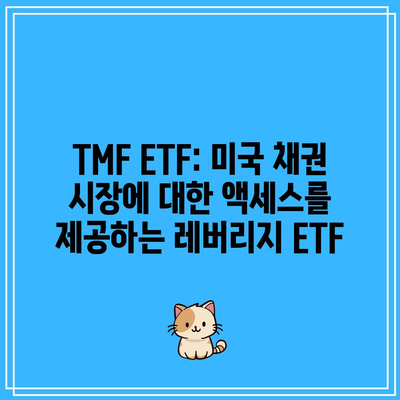 TMF ETF: 미국 채권 시장에 대한 액세스를 제공하는 레버리지 ETF