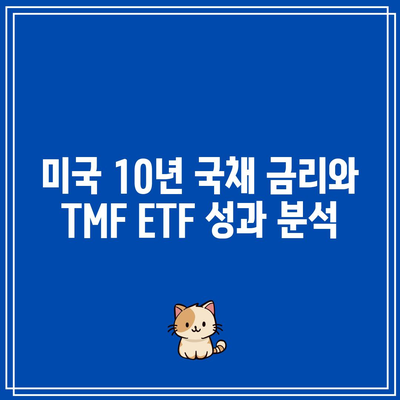 미국 10년 국채 금리와 TMF ETF 성과 분석