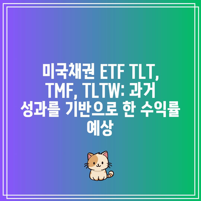 미국채권 ETF TLT, TMF, TLTW: 과거 성과를 기반으로 한 수익률 예상