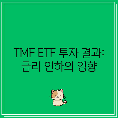 TMF ETF 투자 결과: 금리 인하의 영향