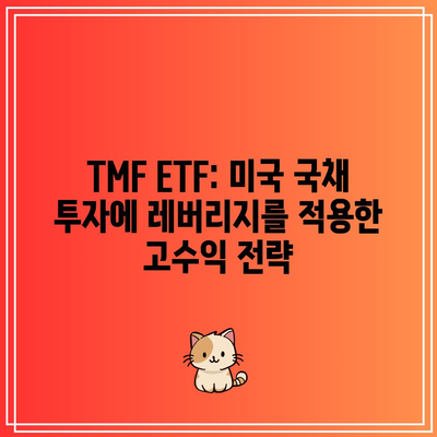 TMF ETF: 미국 국채 투자에 레버리지를 적용한 고수익 전략