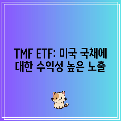 TMF ETF: 미국 국채에 대한 수익성 높은 노출