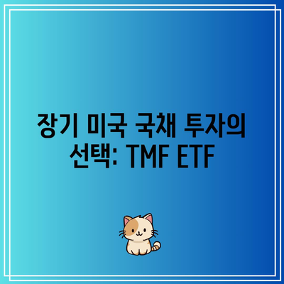 장기 미국 국채 투자의 선택: TMF ETF