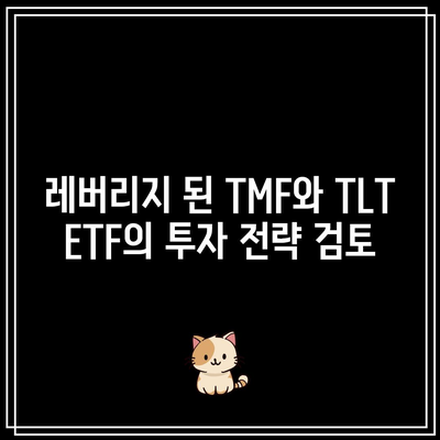 레버리지 된 TMF와 TLT ETF의 투자 전략 검토