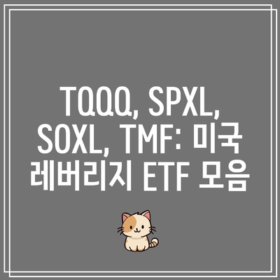 TQQQ, SPXL, SOXL, TMF: 미국 레버리지 ETF 모음