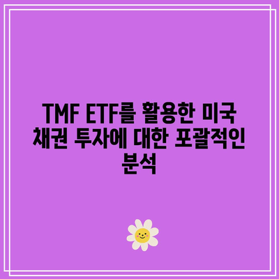 TMF ETF를 활용한 미국 채권 투자에 대한 포괄적인 분석