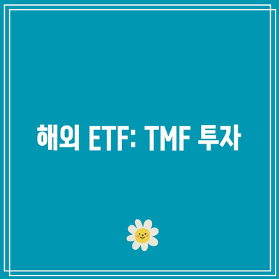 해외 ETF: TMF 투자